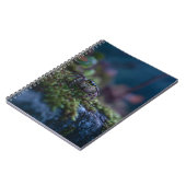 Carnet de la mousse d'araignée (Côté gauche)