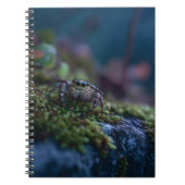 Carnet de la mousse d'araignée (Devant)