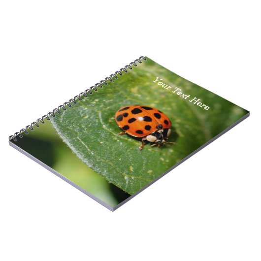 Carnet de la nature de Macro Ladybug (Côté gauche)