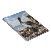 Carnet de la plage de Pelican Seashell (Côté Droit)