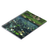 Carnet de la rivière Cwm (Côté gauche)