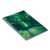 Carnet de la route verte (Côté Droit)