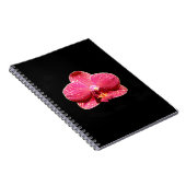 Carnet de la spirale de l'orchidée papale (Côté Droit)