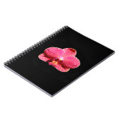 Carnet de la spirale de l'orchidée papale (Côté gauche)