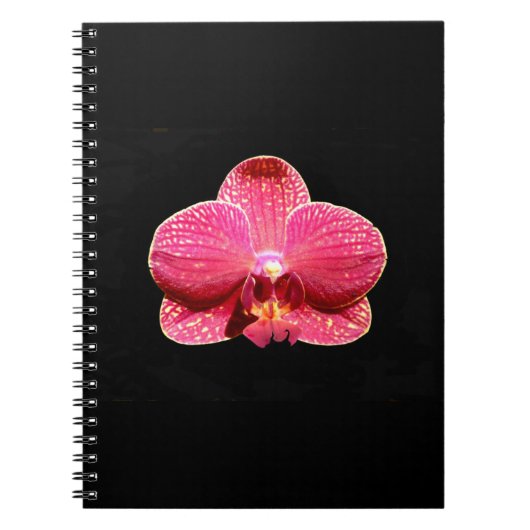 Carnet de la spirale de l'orchidée papale (Devant)