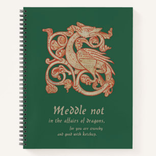 Carnet de la spirale du Dragon médiéval