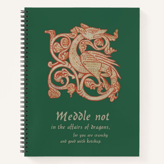 Carnet de la spirale du Dragon médiéval (Devant)