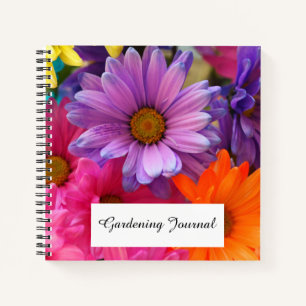 Carnet de la spirale naturelle