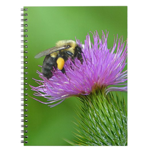 Carnet de l'abeille et du chardon (Devant)