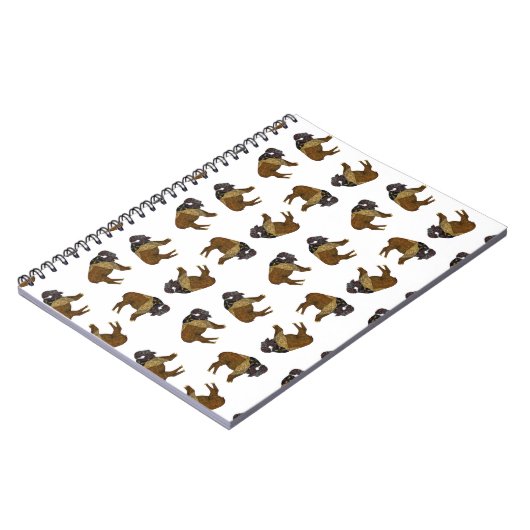 Carnet de lancer de Buffalo (Côté gauche)