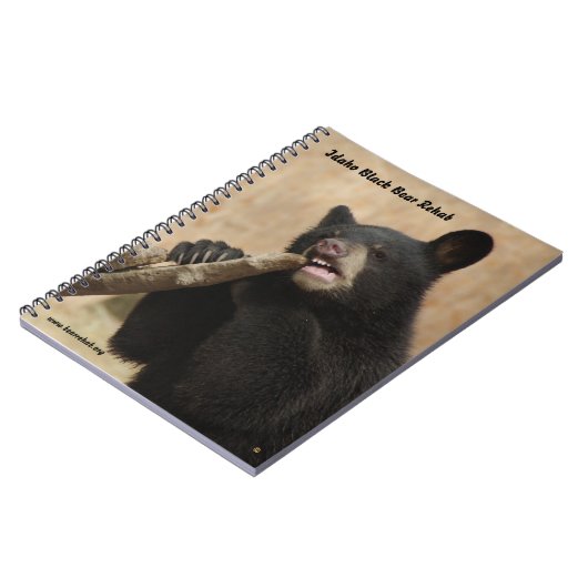 Carnet de Lanikai (Côté gauche)