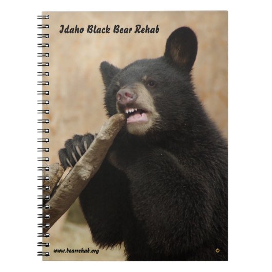 Carnet de Lanikai (Devant)