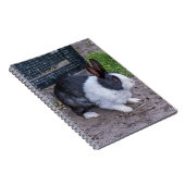 Carnet de lapin (Côté Droit)