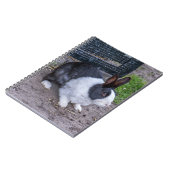 Carnet de lapin (Côté gauche)