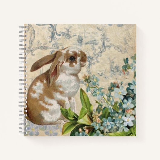 Carnet de lapin bleu Vintage personnalisé (Devant)