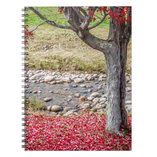 Carnet de l'arbre d'automne rouge (Devant)