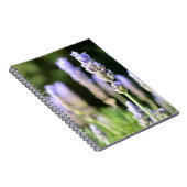 Carnet de lavande (Côté Droit)