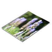 Carnet de lavande (Côté gauche)