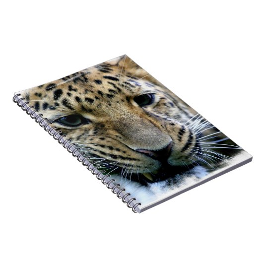 Carnet de léopard d'Amur (Côté Droit)