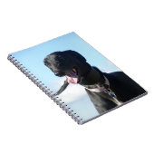 Carnet de lévrier (P001) (Côté Droit)