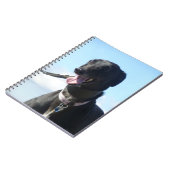 Carnet de lévrier (P001) (Côté gauche)