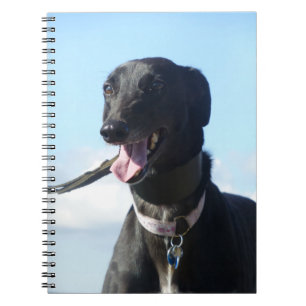 Carnet de lévrier (P001)