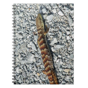 Carnet de lézard d'alligator