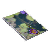 carnet de libellule (Côté Droit)