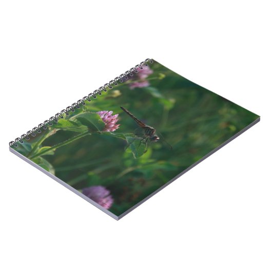 Carnet de libellules (Côté gauche)