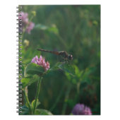 Carnet de libellules (Devant)