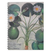Carnet de Lillies de l'eau (Devant)