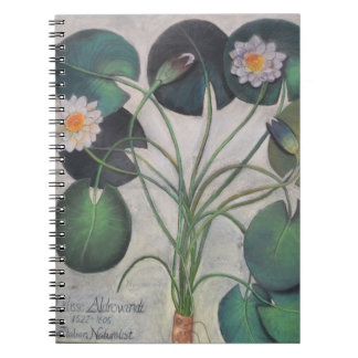 Carnet de Lillies de l'eau