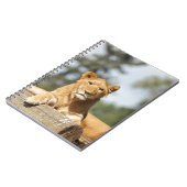 Carnet de lion féminin (Côté gauche)