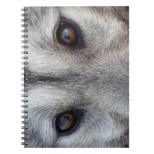 Carnet de loup de loup Husky / Cadeaux et livres d (Devant)