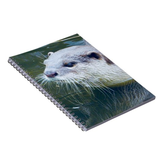 Carnet de loutre (Côté Droit)