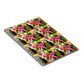 carnet de lys stargazer rose (Côté Droit)