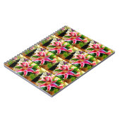 carnet de lys stargazer rose (Côté gauche)