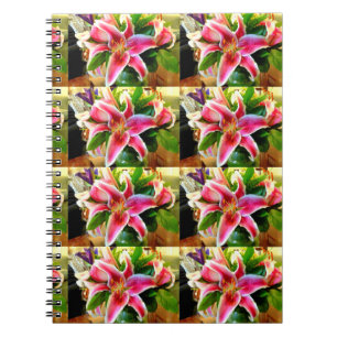 carnet de lys stargazer rose