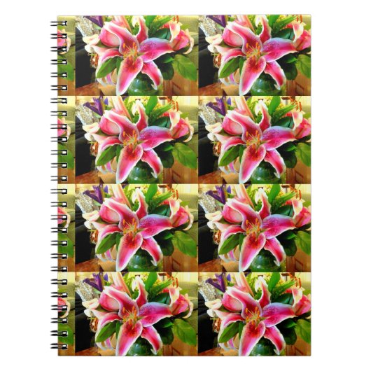 carnet de lys stargazer rose (Devant)