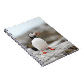 Carnet de macareux (Côté Droit)