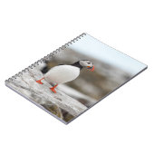 Carnet de macareux (Côté gauche)