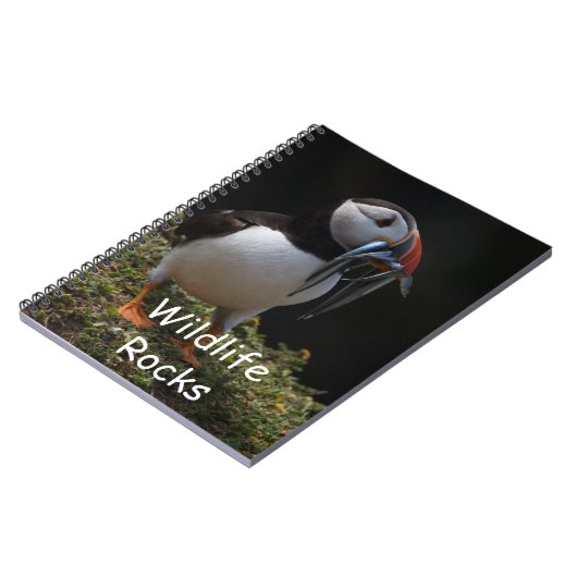 Carnet de macareux atlantique (Côté gauche)
