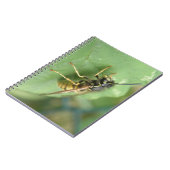 Carnet de macros Hoverfly (Côté gauche)
