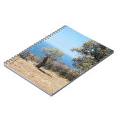 Carnet de Majorque (Côté gauche)