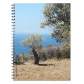 Carnet de Majorque (Devant)