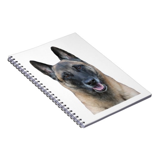 Carnet de Malinois de Belge (Côté Droit)
