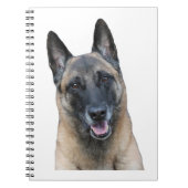 Carnet de Malinois de Belge (Devant)