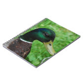 Carnet de Mallard (Côté gauche)