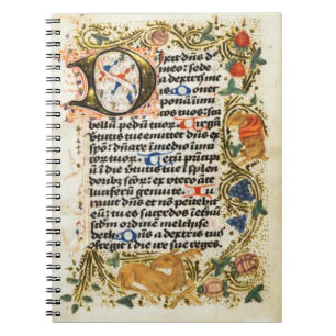 Carnet de manuscrit éclairé