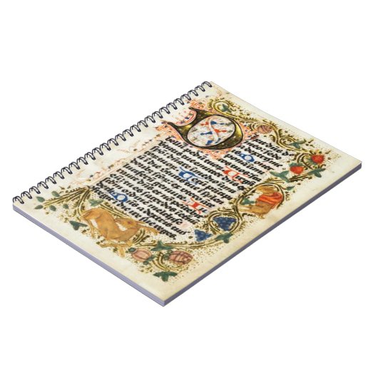 Carnet de manuscrit éclairé (Côté gauche)